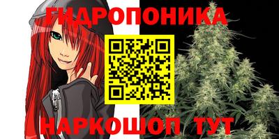 бошки Балахна