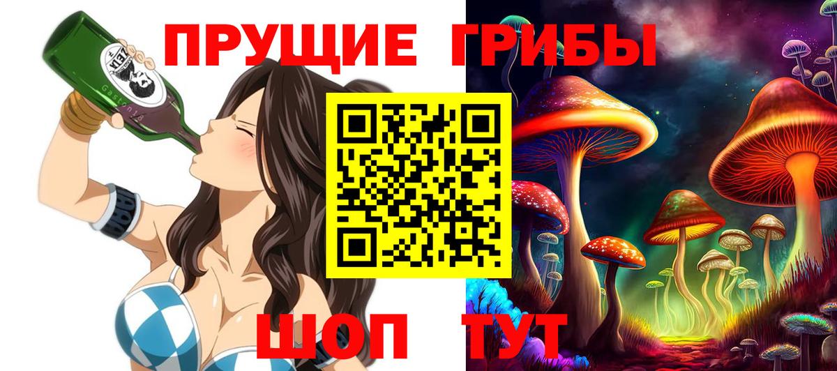 Галлюциногенные грибы Psilocybine cubensis  Вход с VPN  Брянск 