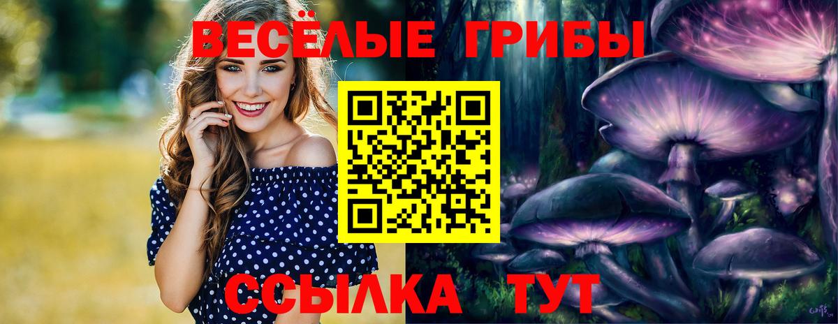 Псилоцибиновые грибы мицелий Брянск